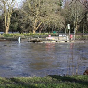 river taff in flood